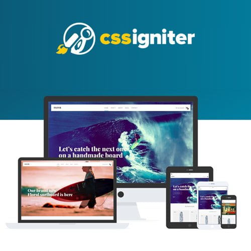 CSS-Igniter-Flevr-Woocommerce-Theme.jpg