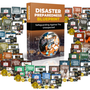 Disaster Preparedness Blueprint